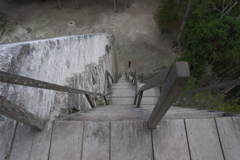 CRW_8160